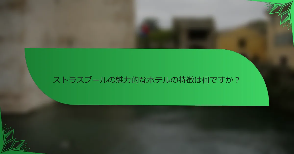 ストラスブールの魅力的なホテルの特徴は何ですか？